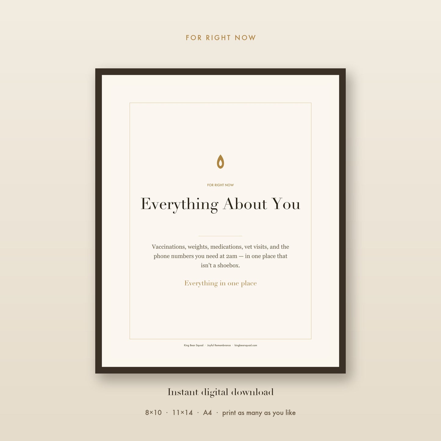 Everything About You pet health record, framed print