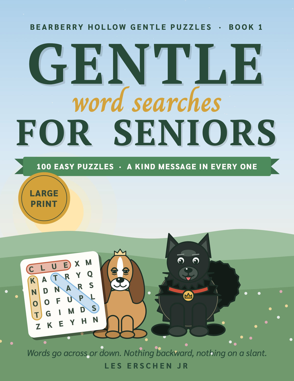 Care Home Pack of large print puzzle books