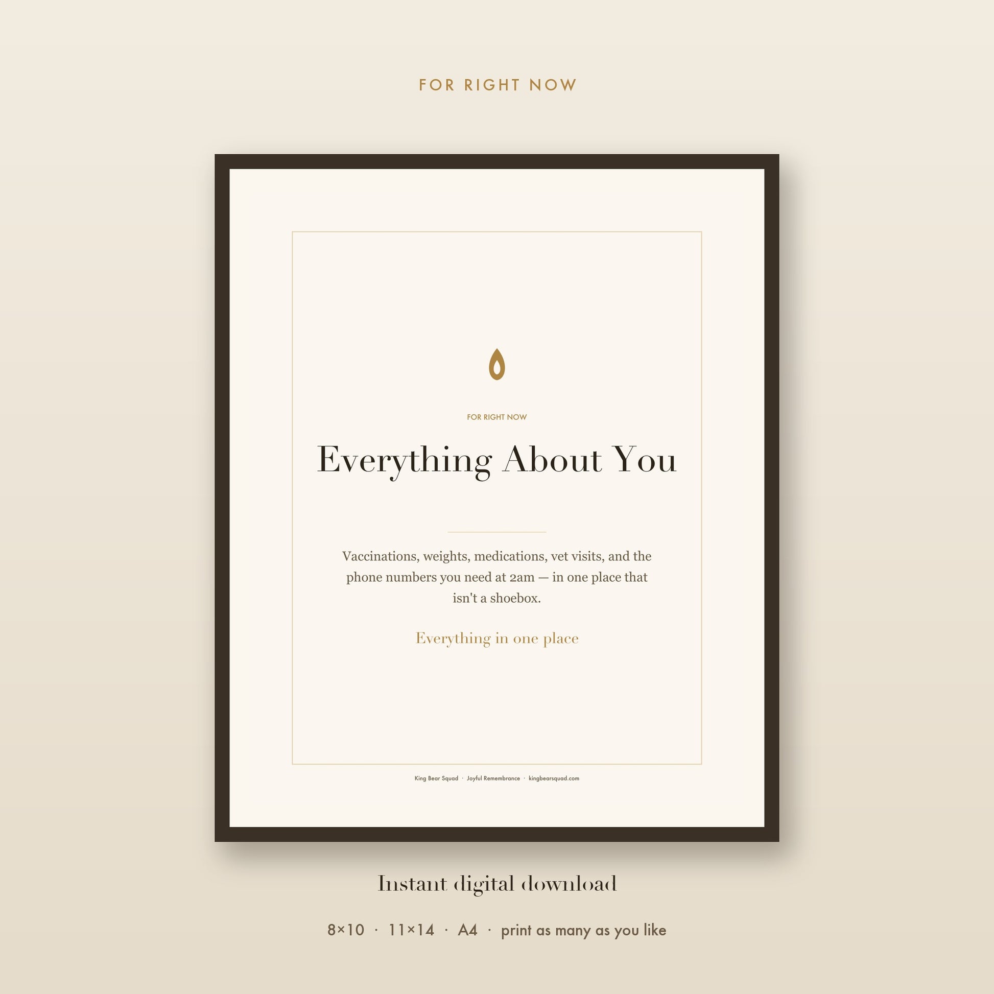 Everything About You pet health record, framed print